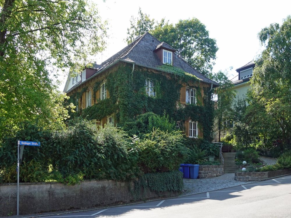 bewachsenes Haus