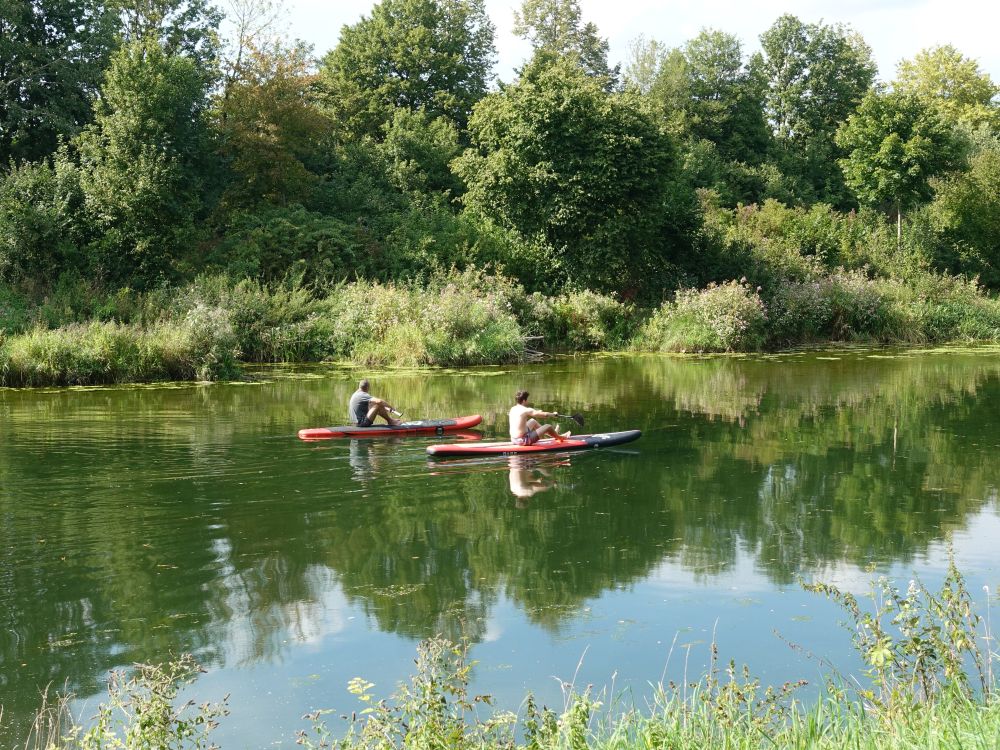 Wassersportler auf der Donau