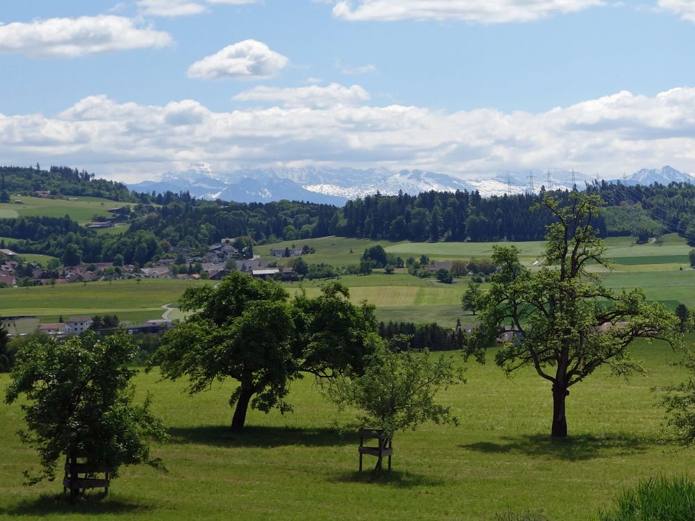 Alpensicht