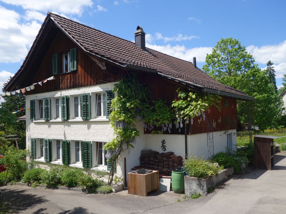 Haus in Wallikon