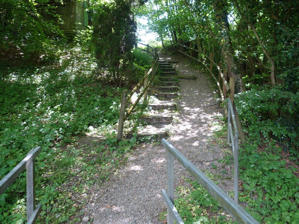 Treppe am Tobelweg