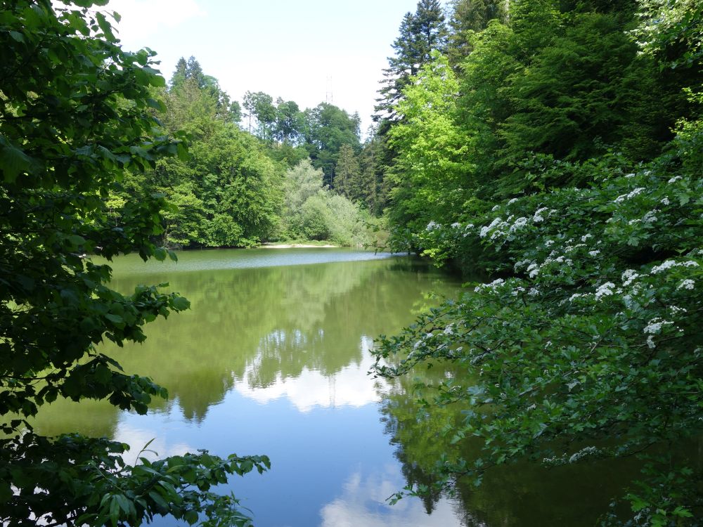 Tobelweiher