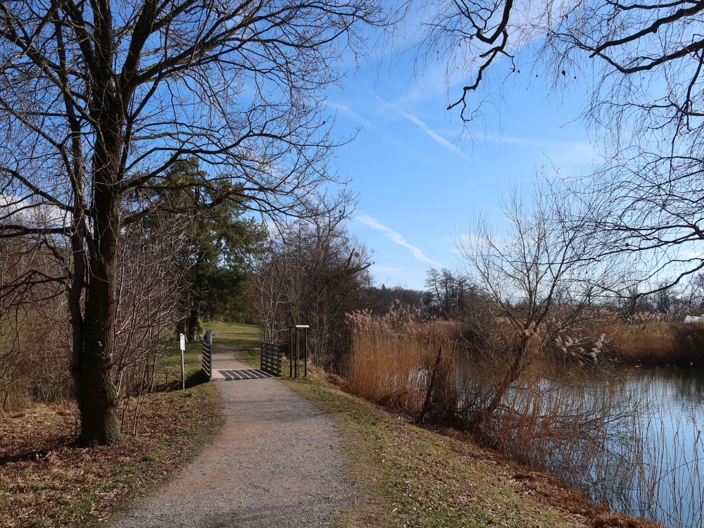Weg am Schübelweiher