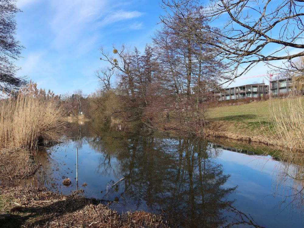 Schübelweiher
