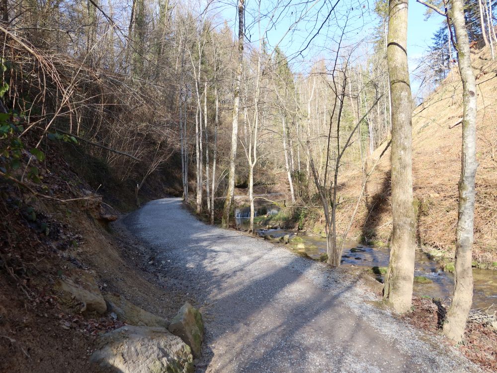 Küsnachter Tobel