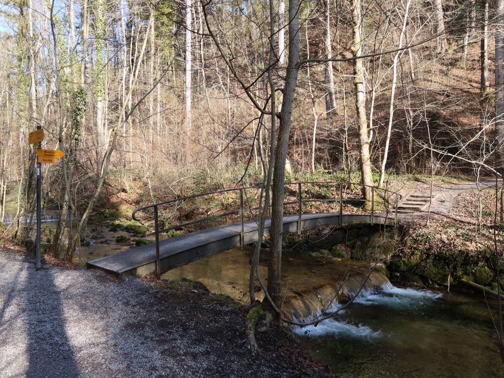 Steg im Küsnachter Tobel