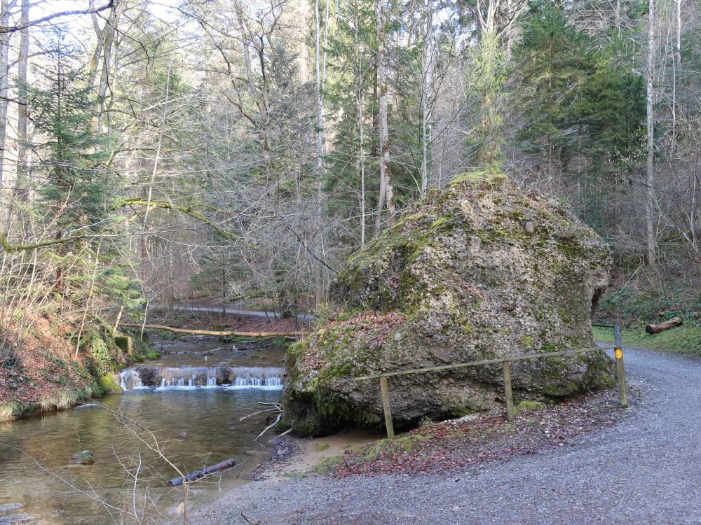 Drachenkopf