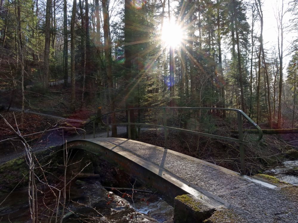 Steg im Gegenlicht