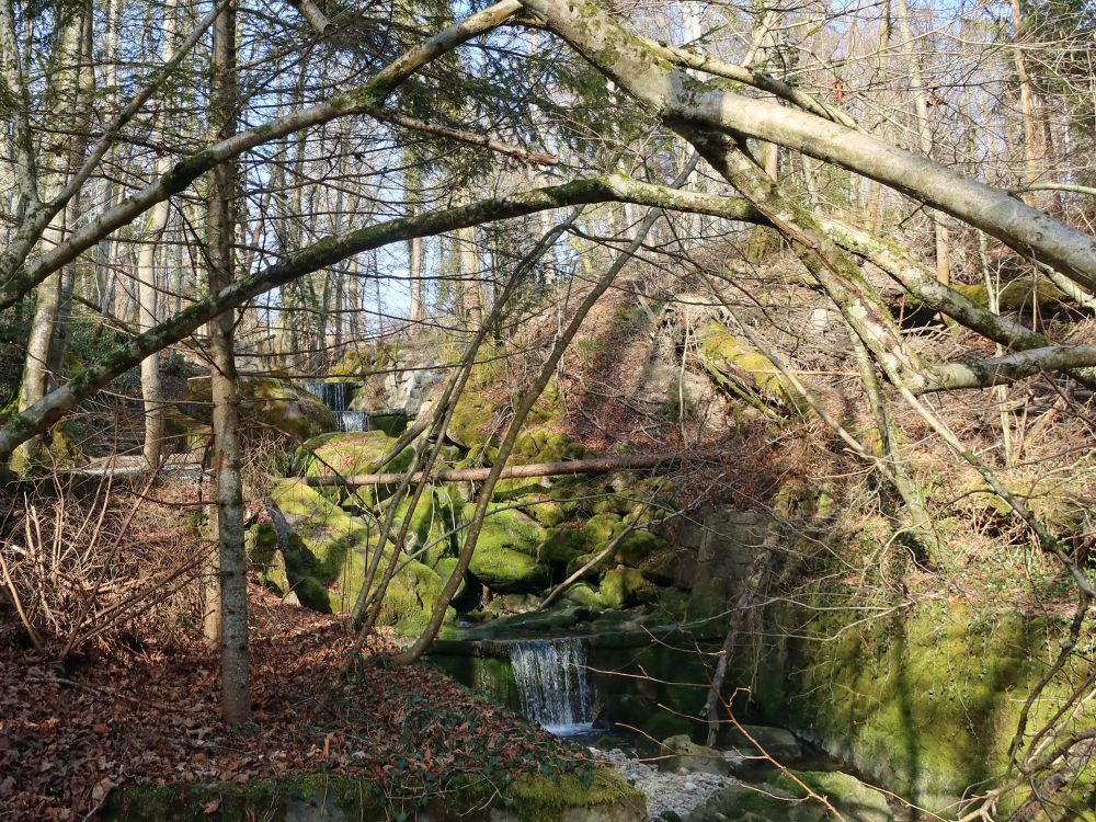 Chliweidlibach