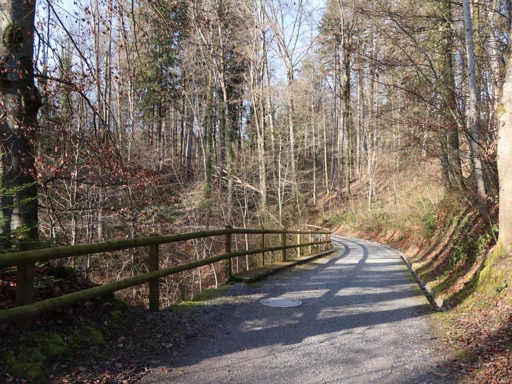 Weg überm Lättentobel
