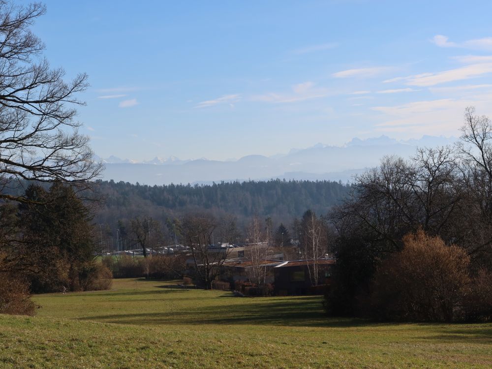 Alpenblick
