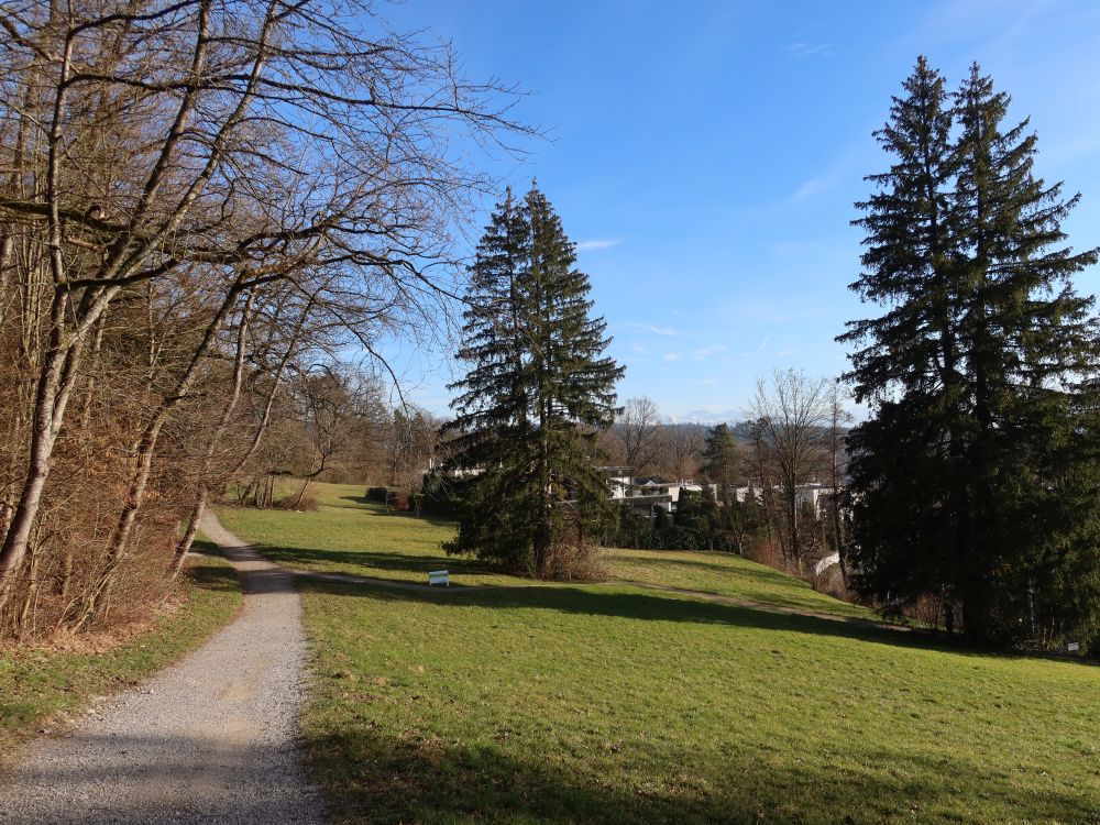 Weg im Oberriet