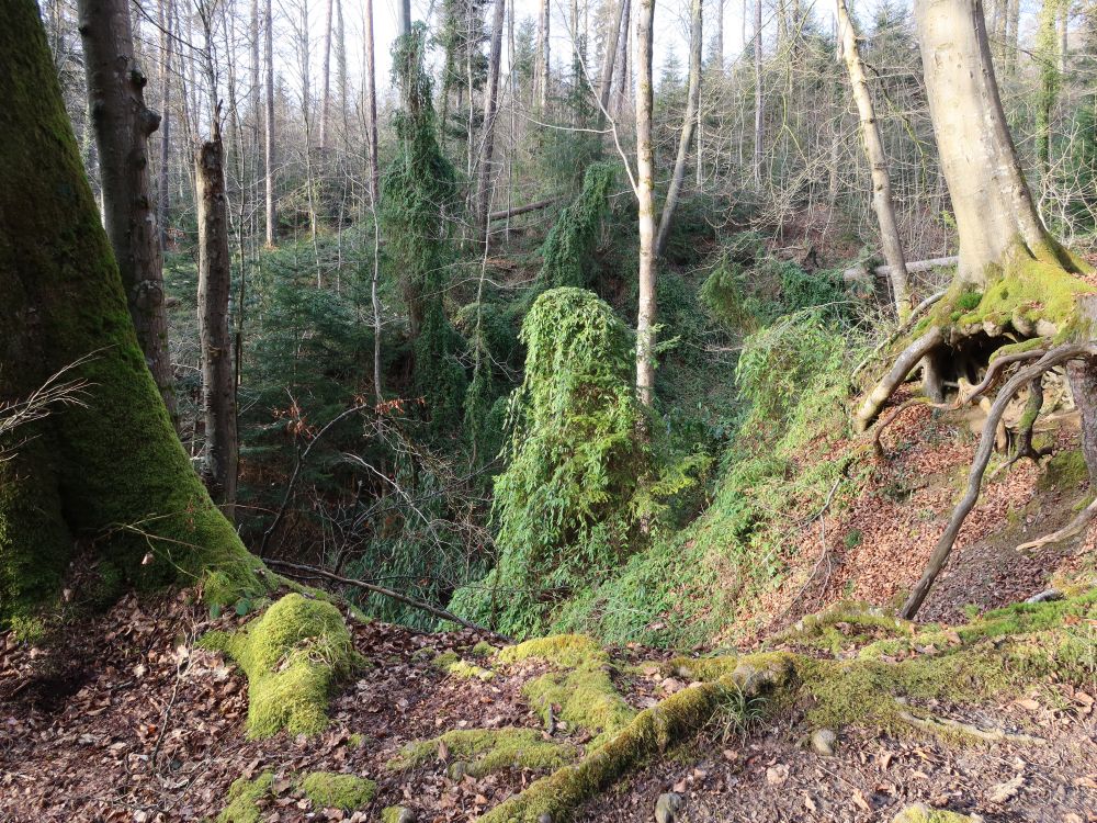 Grün am Düggelbach