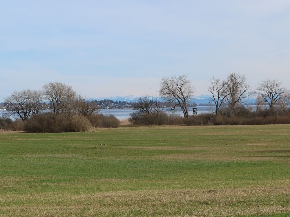 Blick Richtung Reichenau