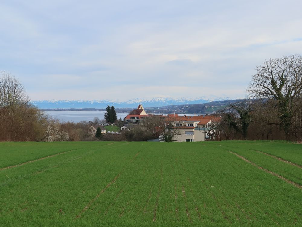 Alpen über Horn