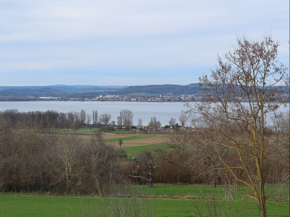 Blick Richtung Radolfzell