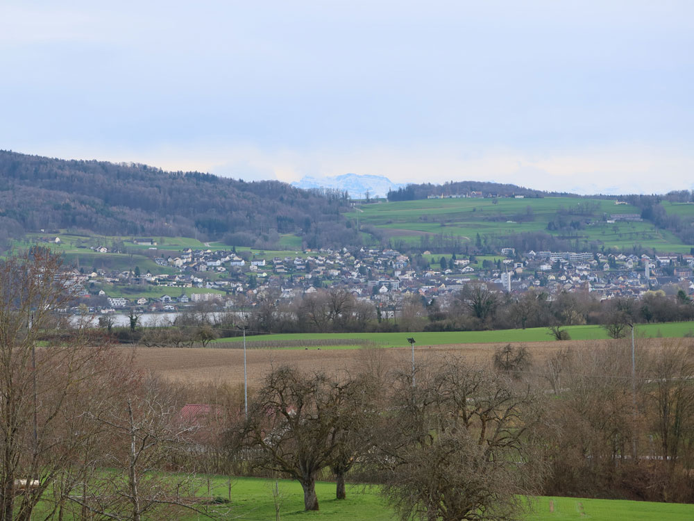 Blick Richtung Rhein und Schweiz