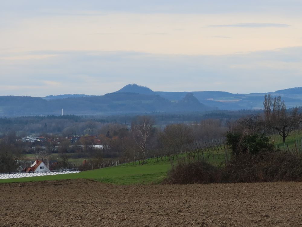 Hohenhewen und Hohenkrähen