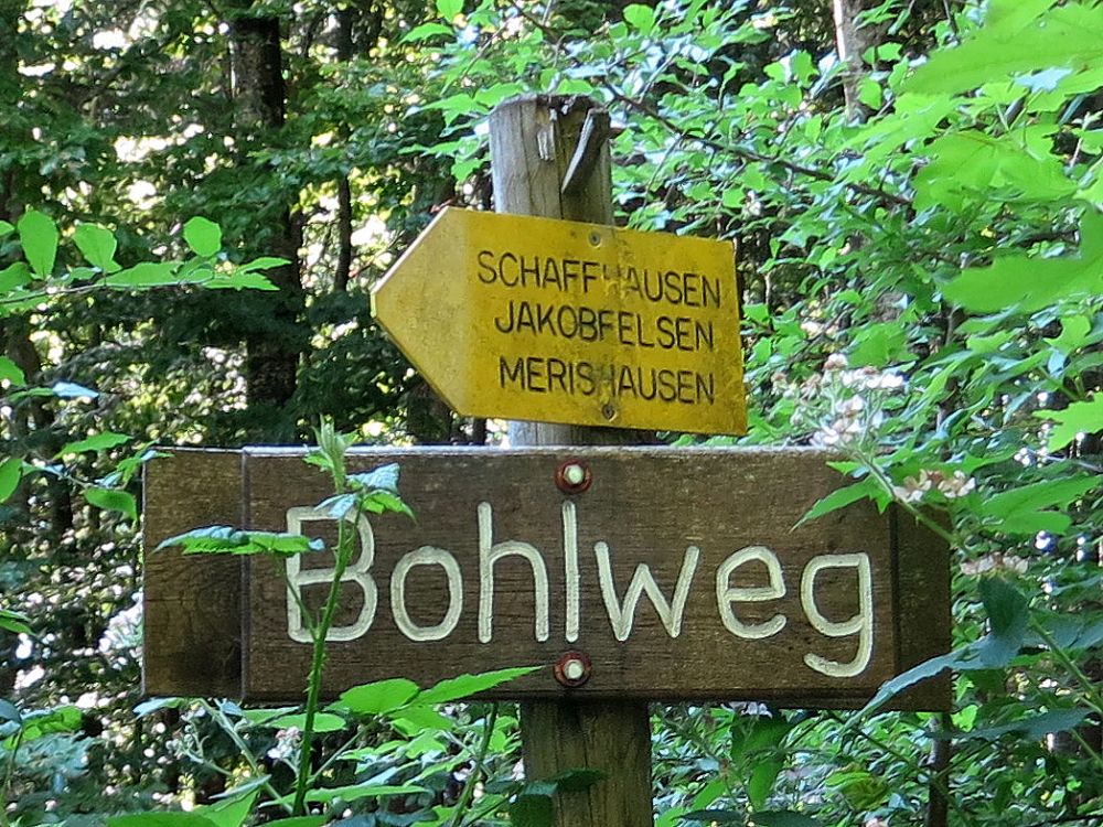 Bohlweg
