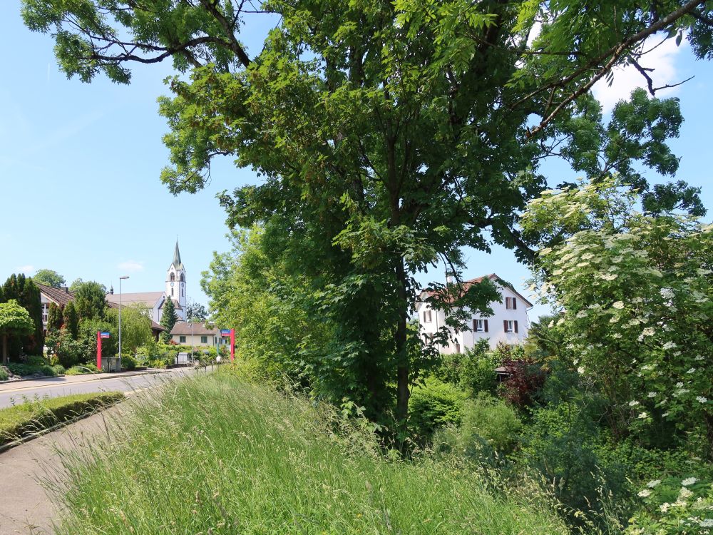 Pfarrkirche Maria Himmelfahrt