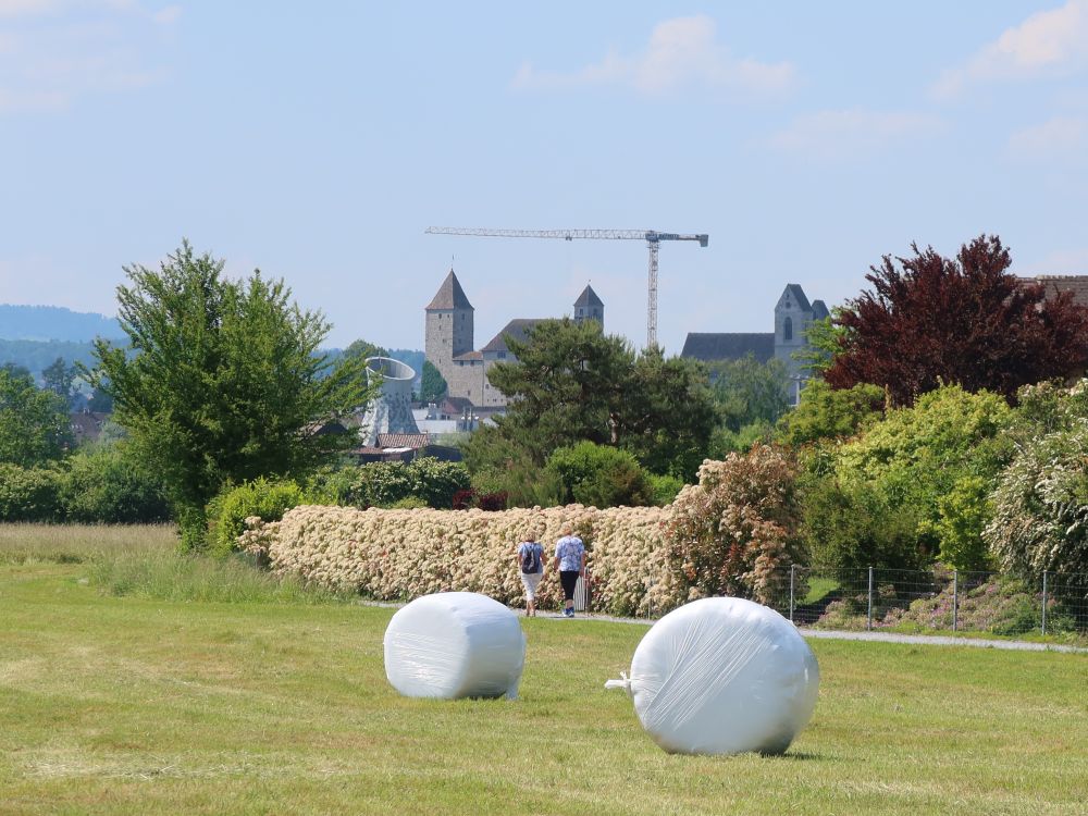 Schloss Rapperswil