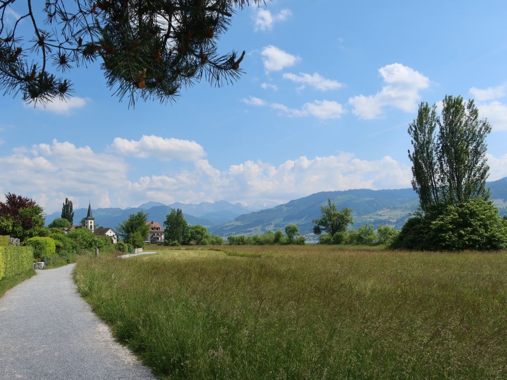 Blick Richtung Glarner Alpen