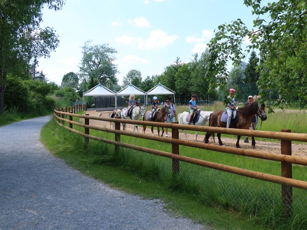 Reiten im Kinderzoo