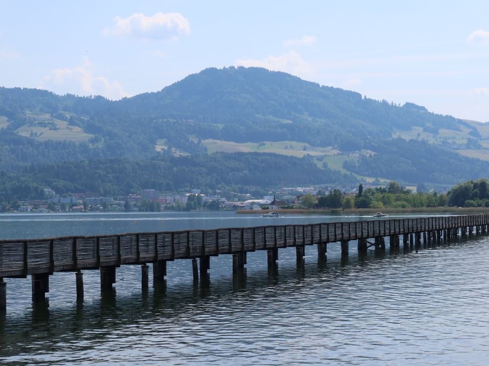 Holzbrücke Rapperswil - Hurden