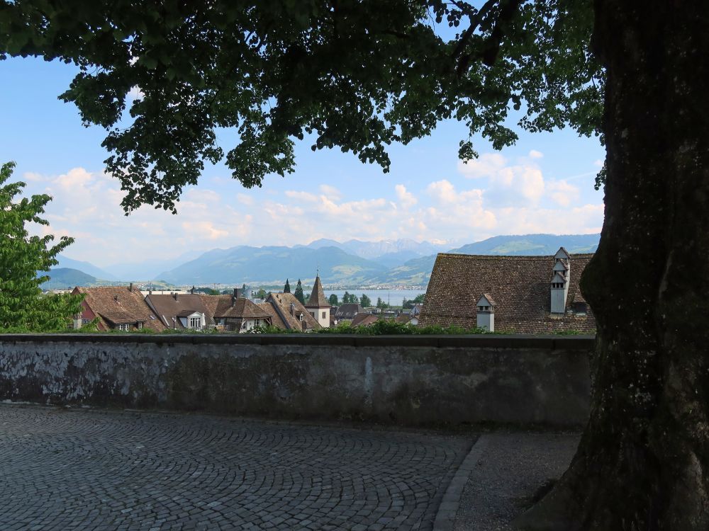 Blick über die Schlossmauer