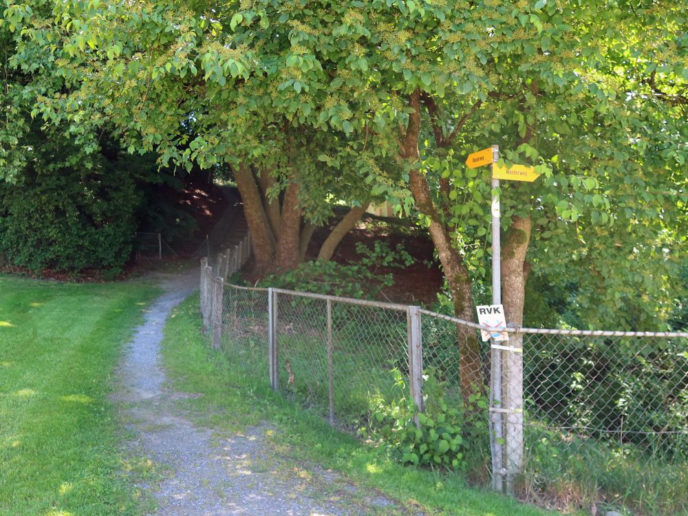 Wanderweg in Ottenbach