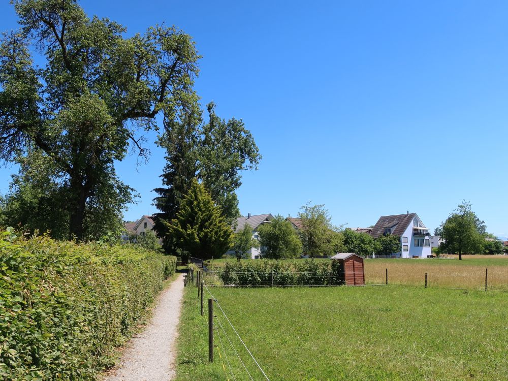 Schlossweg