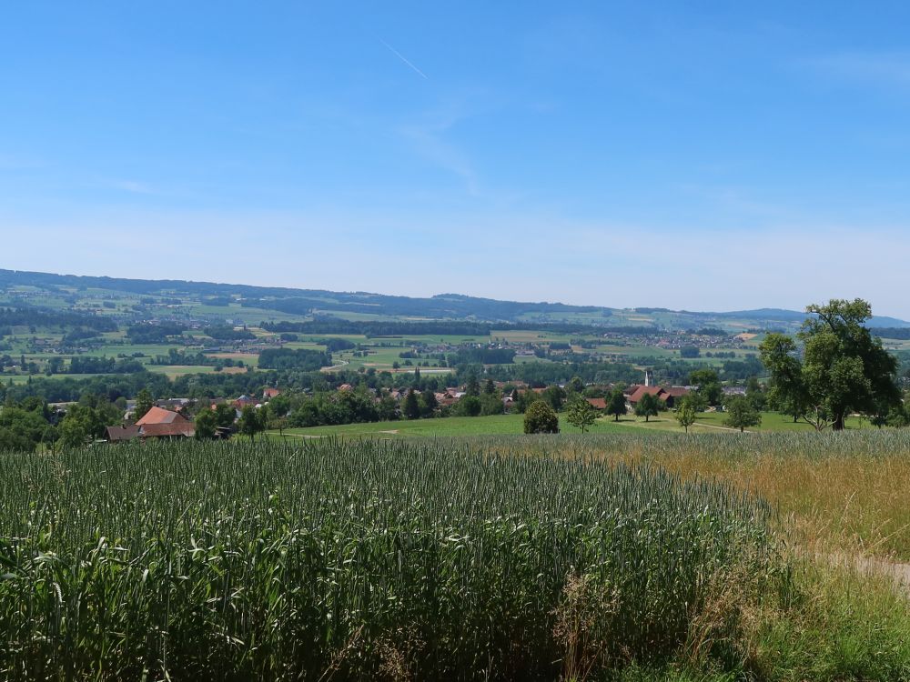 Blick Richtung Ottenbach