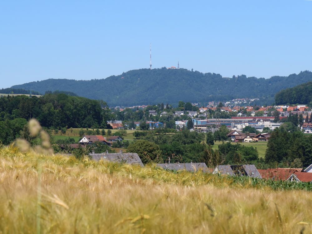 Uetliberg über Zwillikon