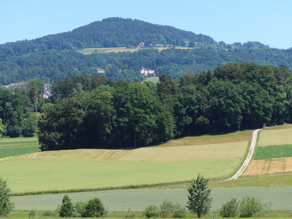 Aeugsterberg und Kinder-Reha