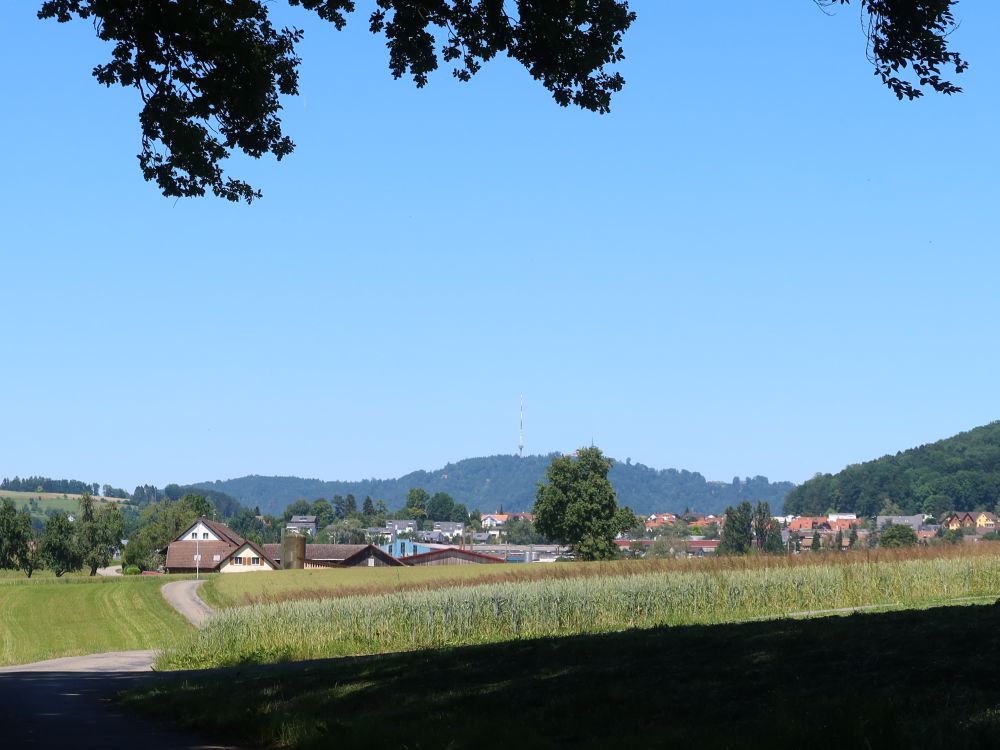 Blick Richtung Uetliberg