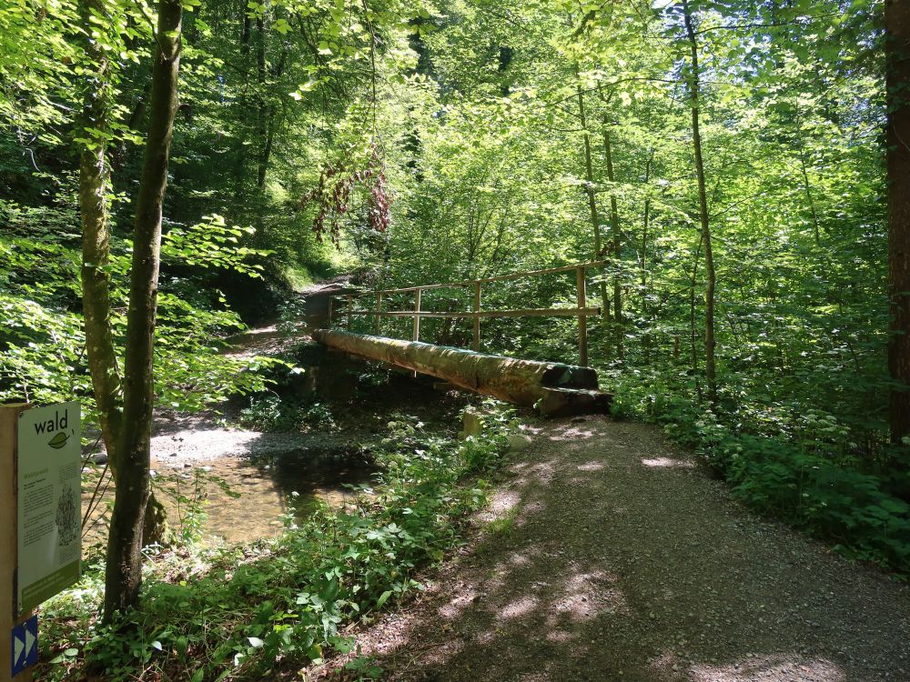 Holzsteg über die Jonen