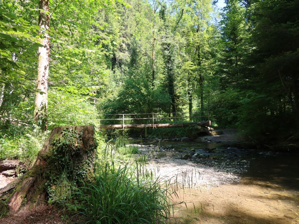 Holzsteg über die Jonen