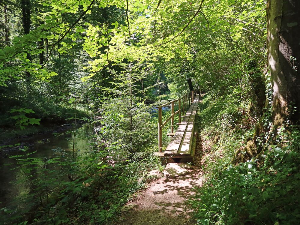 Holzsteg an der Jonen