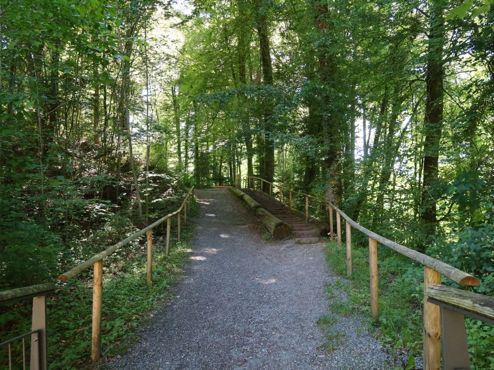 Weg zur Kapelle Jonental