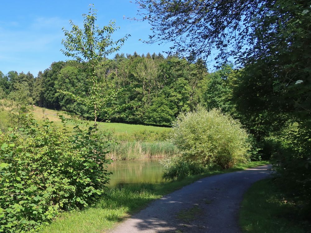 Litziweiher