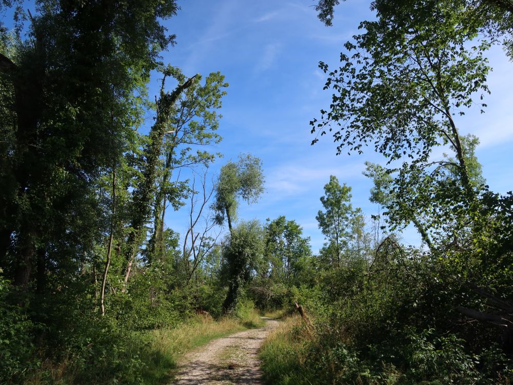 Naturschutzgebiet an der Reuss