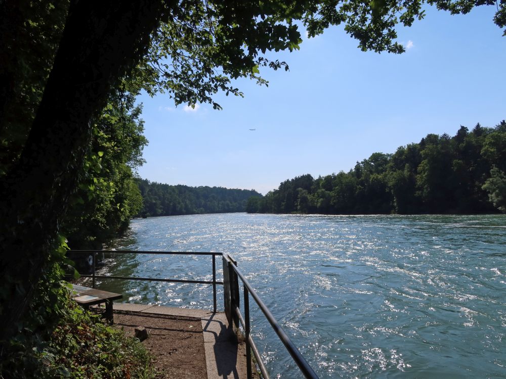 Rhein