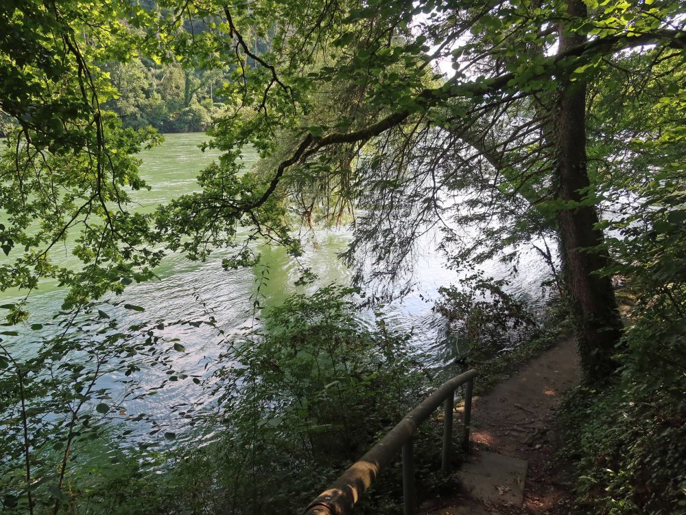 Rheinuferweg