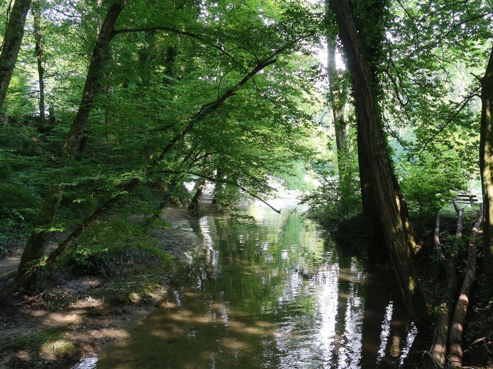Zufluss Landbach