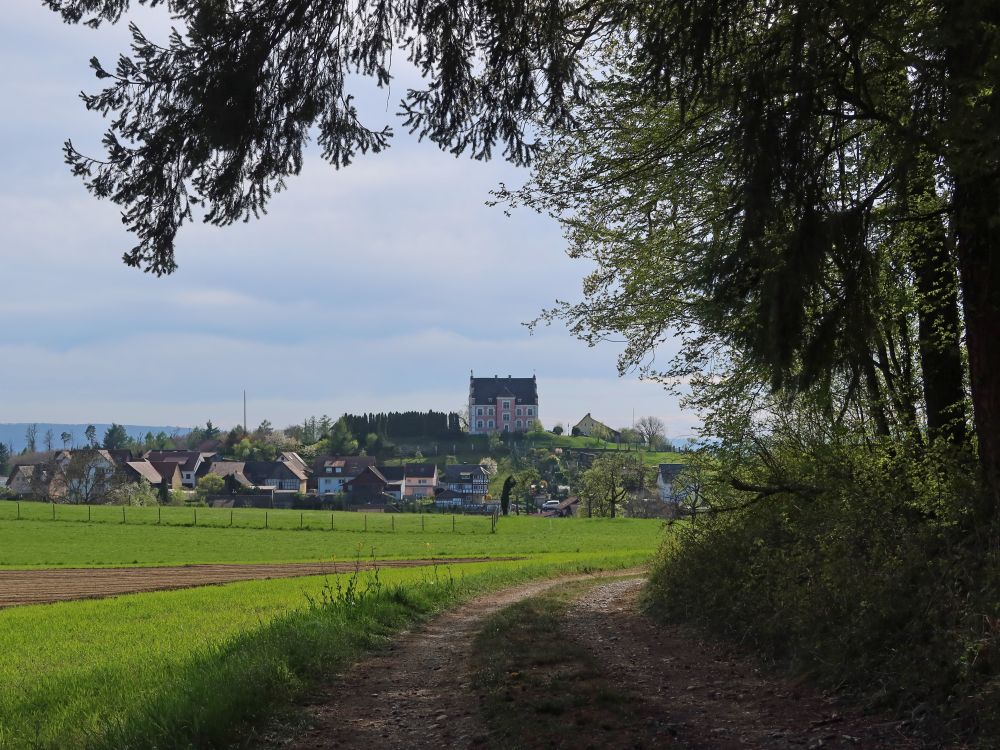 Blick Richtung Freudental