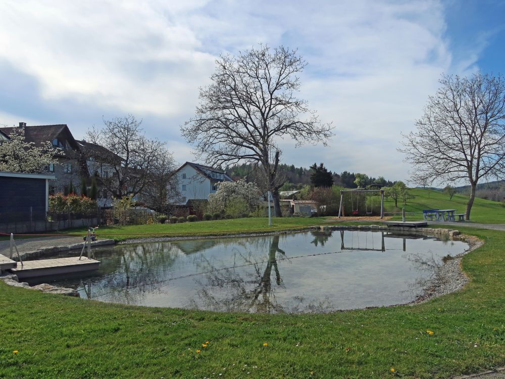Dorfweiher Freudental