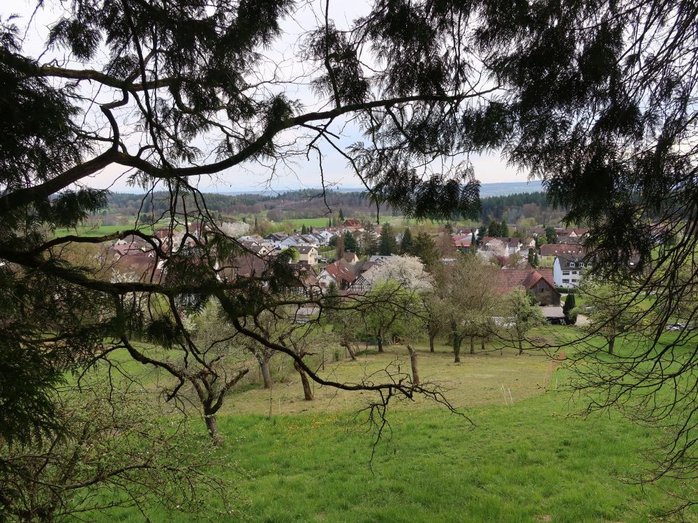 Blick auf Kaltbrunn