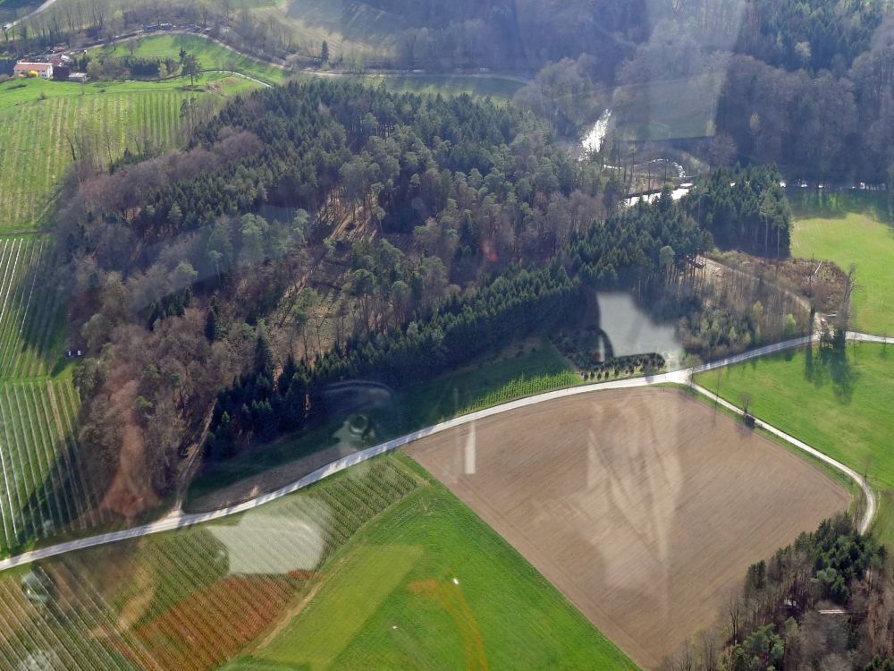 Wald bei Weilermhle