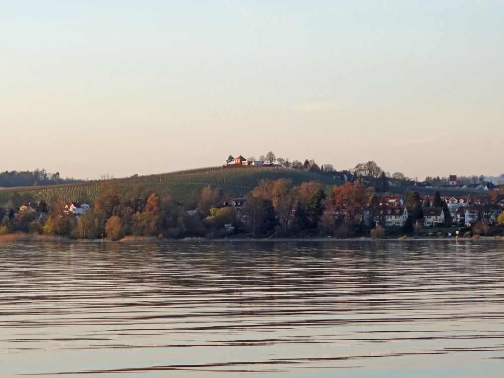 Hohberg bei Immenstaad