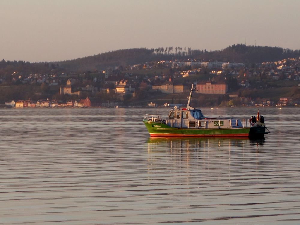 Zollschiff vor Meersburg